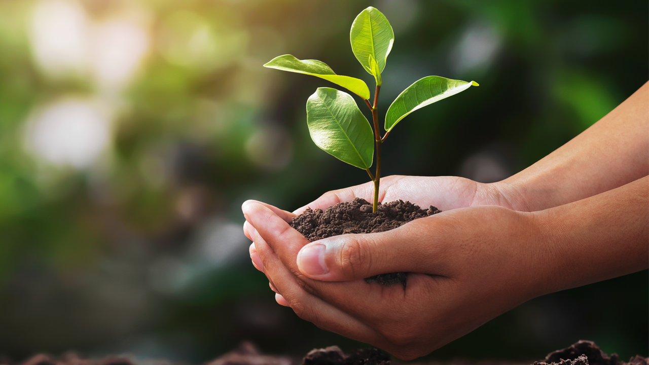 É criado Plano de Trabalho do Comitê de Sustentabilidade do MPTCU